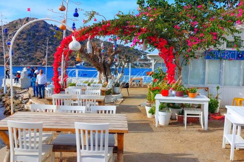 4+1 Villa  in Bodrum, Mugla, Türkei Nr. 223407 - 16