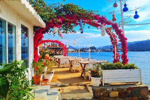 4+1 Villa  in Bodrum, Mugla, Türkei Nr. 223407 - 18