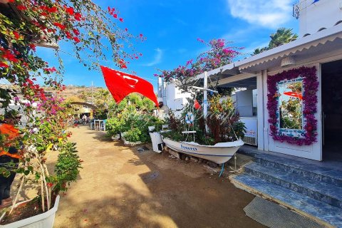 4+1 Villa  in Bodrum, Mugla, Türkei Nr. 223407 - 19
