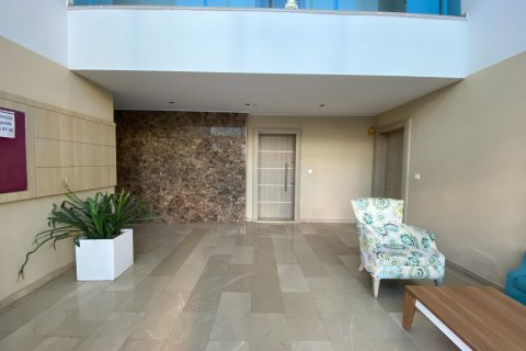 Daire  3+1  Alanya, Antalya, Türkiye №219351 - 17