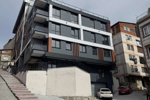 Daire  1+1  İstanbul, Türkiye №233024 - 4