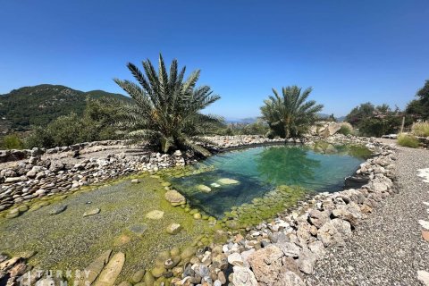 Villa 7+1 Dalyan, Muğla, Türkiye №233021 - 5