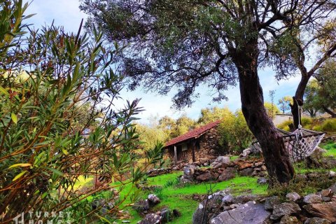 Villa 7+1 Dalyan, Muğla, Türkiye №233021 - 6