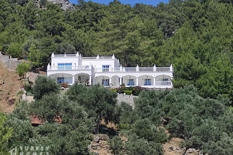 Villa 7+1 Dalyan, Muğla, Türkiye №233021 - 3