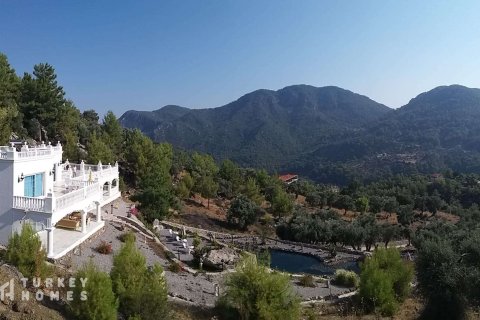 Villa  7+1  Dalyan, Muğla, Türkiye №233021