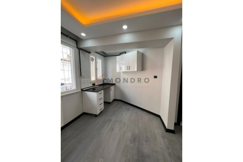 1+1 Wohnung  in Fatih, Istanbul, Türkei Nr. 228314 - 4