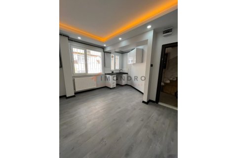 1+1 Wohnung  in Fatih, Istanbul, Türkei Nr. 228314 - 8