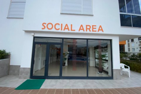 3+1 Lejlighed i Alanya, Antalya, Tyrkiet Nr. 216681 - 25