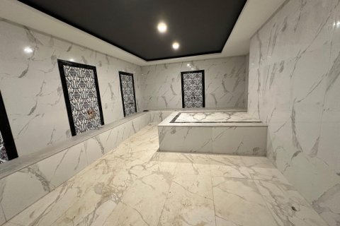 آپارتمان در  Alanya ، ترکیه 1 خوابه  شماره 228341 - 10