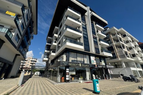 1+1 Wohnung  in Alanya, Antalya, Türkei Nr. 218049 - 7