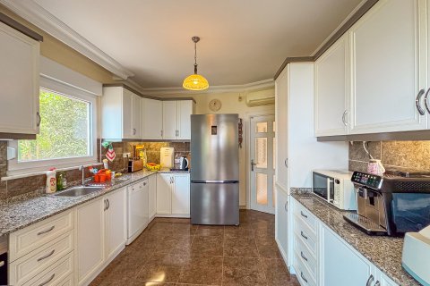 4+1 Villa i Kestel, Antalya, Tyrkiet Nr. 218467 - 6