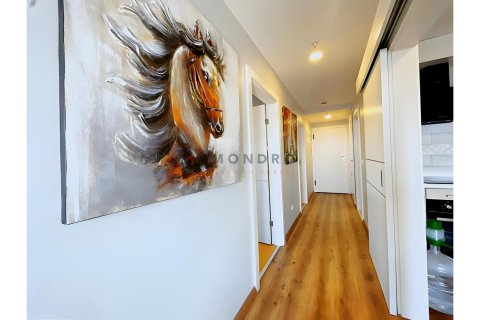 2+1 Lägenhet  i Besiktas, Istanbul, istanbul, Turkiet Nr. 215509 - 11