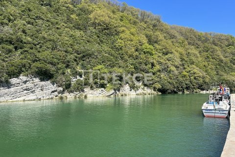 7+1 Villa  i Sile, istanbul, Turkiet Nr. 224693