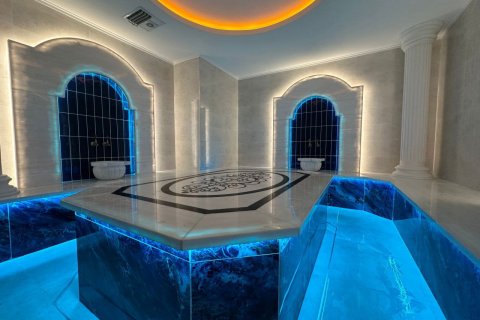 2+1 Lejlighed  i Alanya, Antalya, Tyrkiet Nr. 217422 - 16