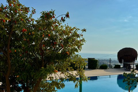 3+1 Villa  i Alanya, Antalya, Tyrkia Nr. 227157 - 18