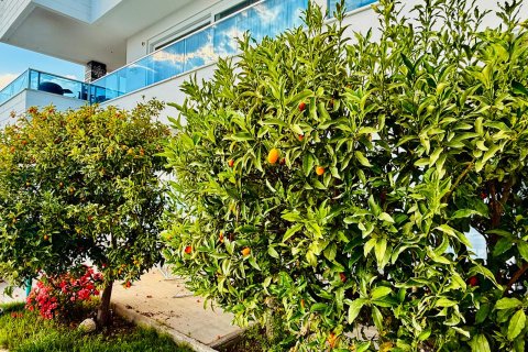 3+1 Villa  i Alanya, Antalya, Tyrkia Nr. 227157 - 27