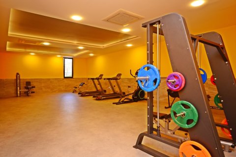 1+1 Wohnung in Alanya, Antalya, Türkei Nr. 216743 - 14