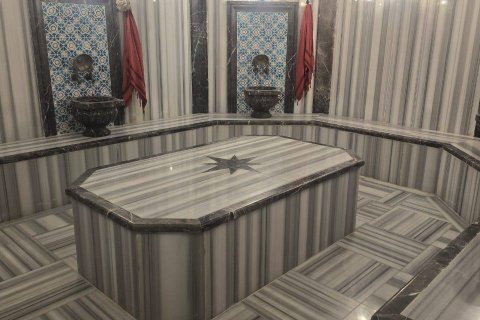 1+1 Wohnung  in Mahmutlar, Antalya, Türkei Nr. 217626 - 8