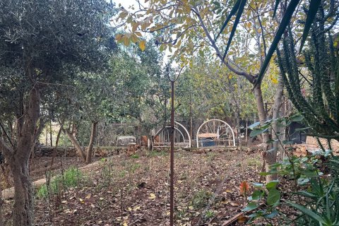 Villa for sale  in Alanya, Antalya, Turkey, 4 bedrooms, 240m2, No. 217344 – photo 8