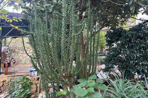 Villa for sale  in Alanya, Antalya, Turkey, 4 bedrooms, 240m2, No. 217344 – photo 7