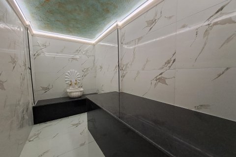 3+1 Villa  in Alanya, Antalya, Türkei Nr. 219238 - 16