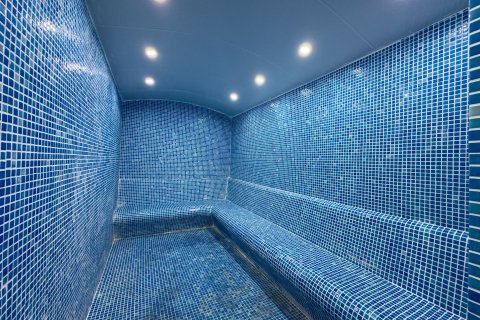 آپارتمان در  Alanya ، ترکیه 3 خوابه ، 145 متر مربع.  شماره 219237 - 16