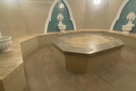 3+1 Lägenhet  i Kargicak, Alanya, Antalya, Turkiet Nr. 215428 - 33