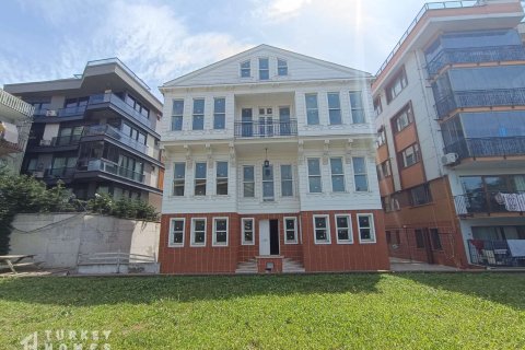 10+1 Villa in Istanbul, Turkey No. 232370