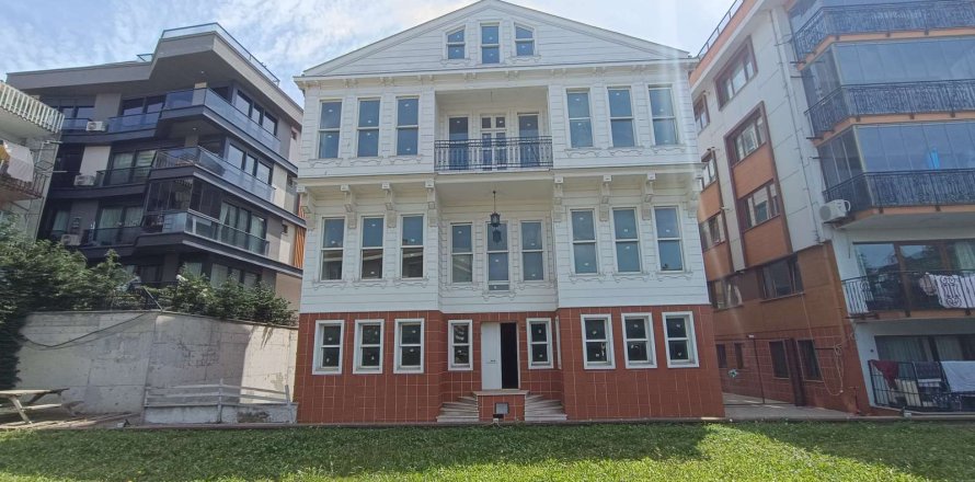 10+1 Villa  in Istanbul, Turkey No. 232370