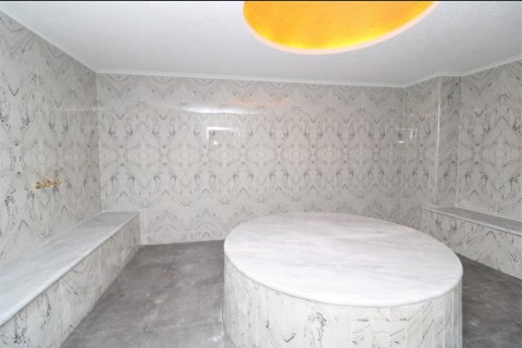 3+0 Penthouse  i Mahmutlar, Antalya, Tyrkiet Nr. 224984 - 15