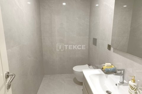 4+1 Lägenhet  i istanbul, Turkiet Nr. 224404 - 28