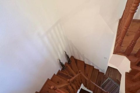 Villa  in Demirtas, Alanya, Antalya, Türkei Nr. 224723 - 12