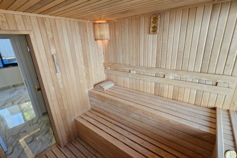 آپارتمان در  Alanya ، ترکیه 528 متر مربع.  شماره 224722 - 17