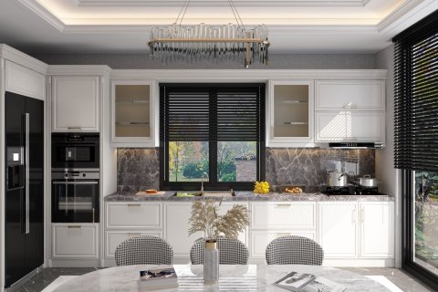 Продажа виллы  в Стамбуле, Турция 6+2, 500м2, №219015 – фото 6