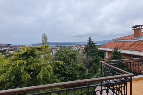 9+1 Villa  in Sariyer, Istanbul, Türkei Nr. 224524 - 27