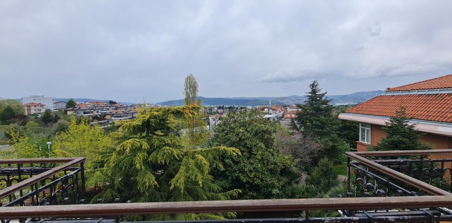 9+1 Villa  in Sariyer, Istanbul, Türkei Nr. 224524