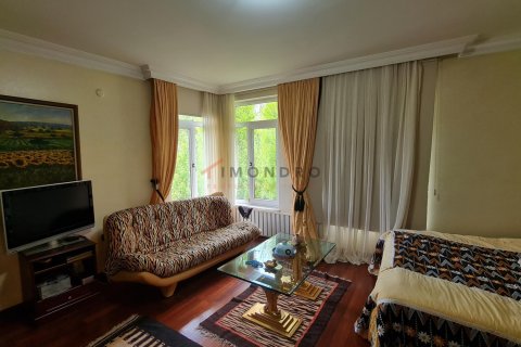 9+1 Villa  in Sariyer, Istanbul, Türkei Nr. 224524 - 22