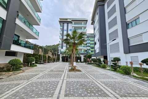 1+0 Wohnung in Kargicak, Alanya, Antalya, Türkei Nr. 224909 - 13