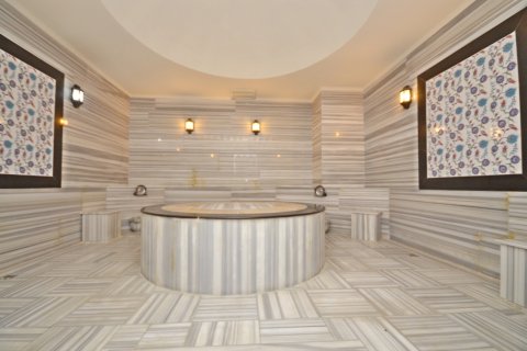 1+1 Lejlighed  i Alanya, Antalya, Tyrkiet Nr. 216746 - 17