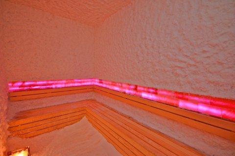 1+1 Lejlighed  i Alanya, Antalya, Tyrkiet Nr. 216540 - 26