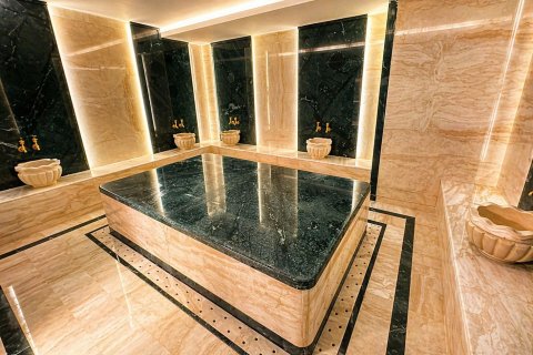 آپارتمان در  Mahmutlar ، ترکیه 1 خوابه ، 50 متر مربع.  شماره 223334 - 14