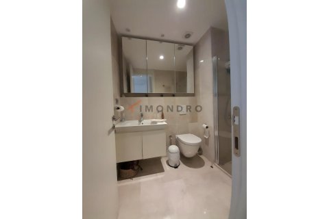 Daire  1+1  Küçükçekmece, İstanbul, Türkiye №224362 - 10