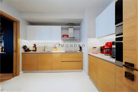 3+1 Wohnung  in Sariyer, Istanbul, Türkei Nr. 221714 - 8