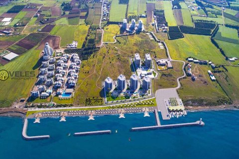 1+1 Lejlighed  i Gaziveren, Guzelyurt,  Nr. 213919 - 17