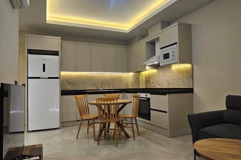 1+0 Wohnung in Alanya, Antalya, Türkei Nr. 215880 - 4