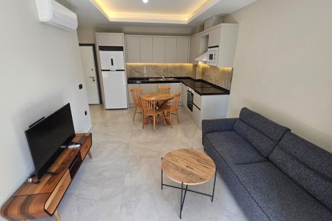 1+0 Wohnung in Alanya, Antalya, Türkei Nr. 215880 - 3