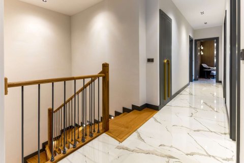 5+1 Villa in Istanbul, Türkei Nr. 233705 - 8