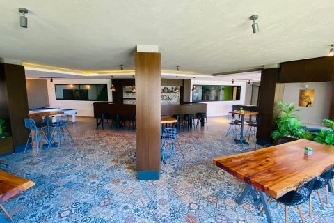 3+1 Lägenhet  i Kargicak, Alanya, Antalya, Turkiet Nr. 215426 - 40