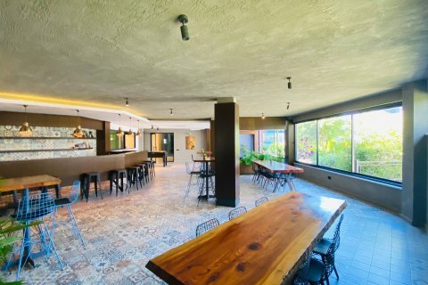 3+1 Lägenhet  i Kargicak, Alanya, Antalya, Turkiet Nr. 215426 - 45