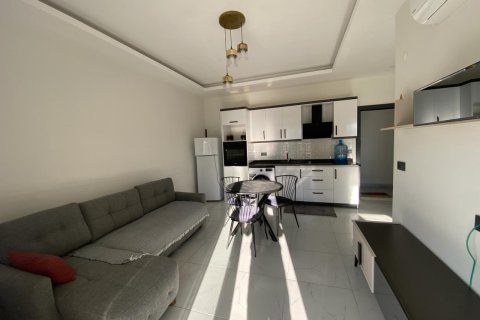 آپارتمان در  Alanya ، ترکیه 1 خوابه ، 55 متر مربع.  شماره 215553